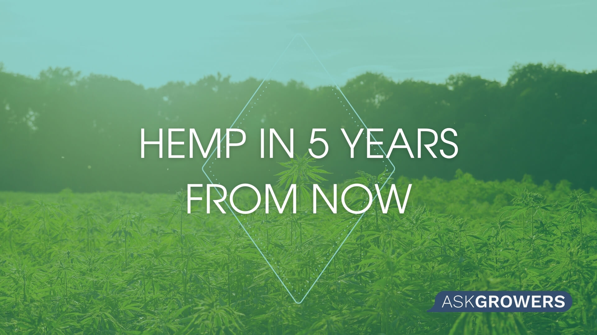 Hemp in 5 Years From Now, AskGrowers