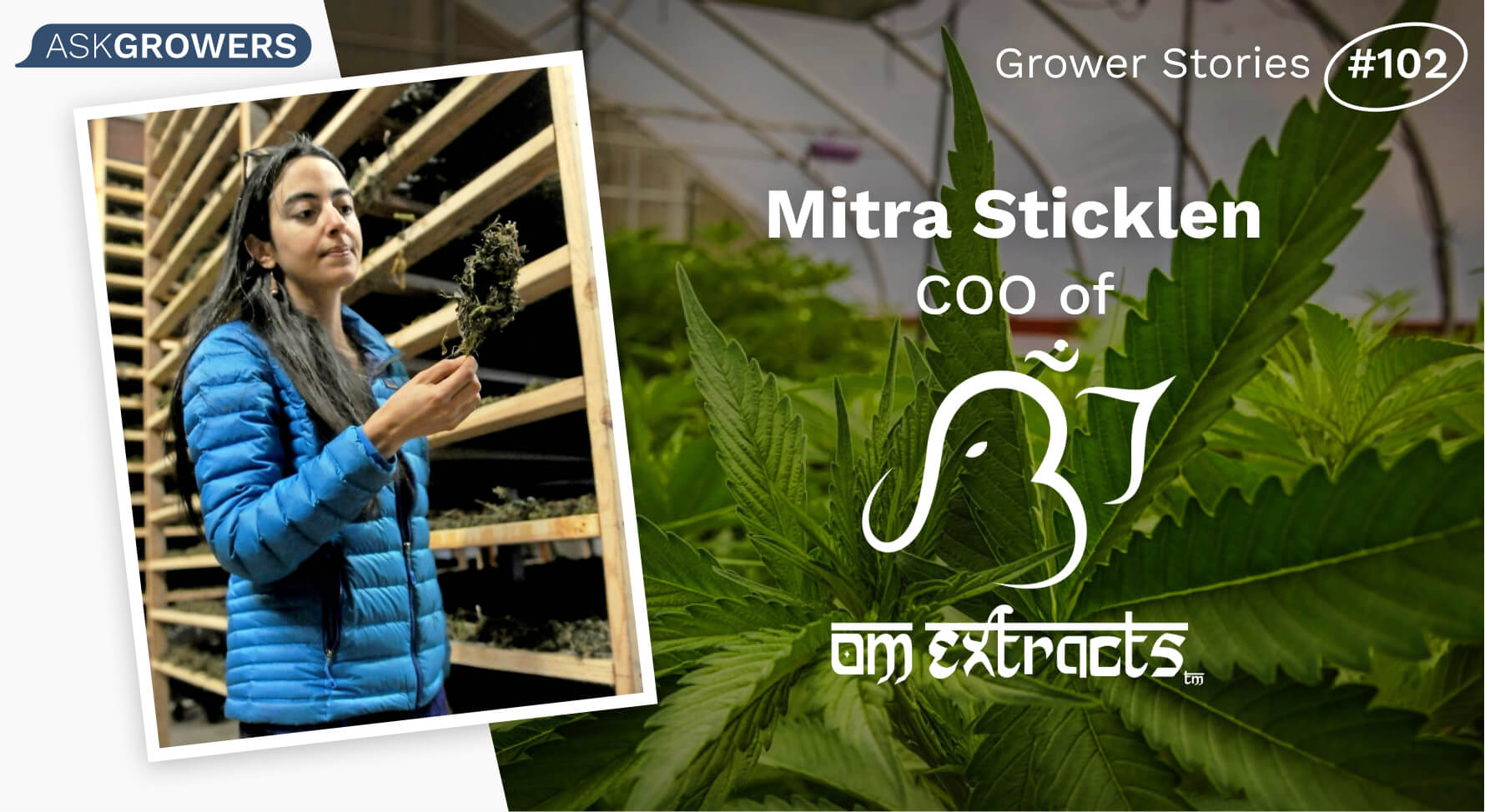 Grower Stories #102: Mitra Sticklen, AskGrowers