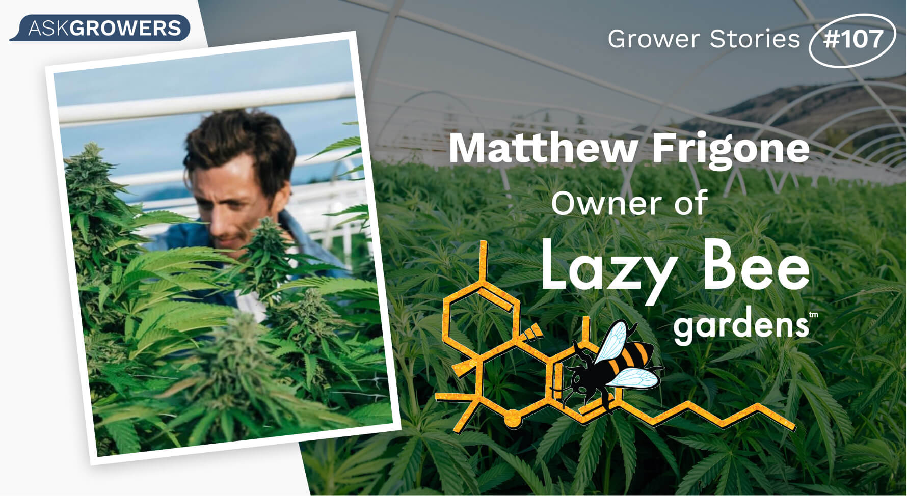 Grower Stories #107: Matthew Frigone, AskGrowers