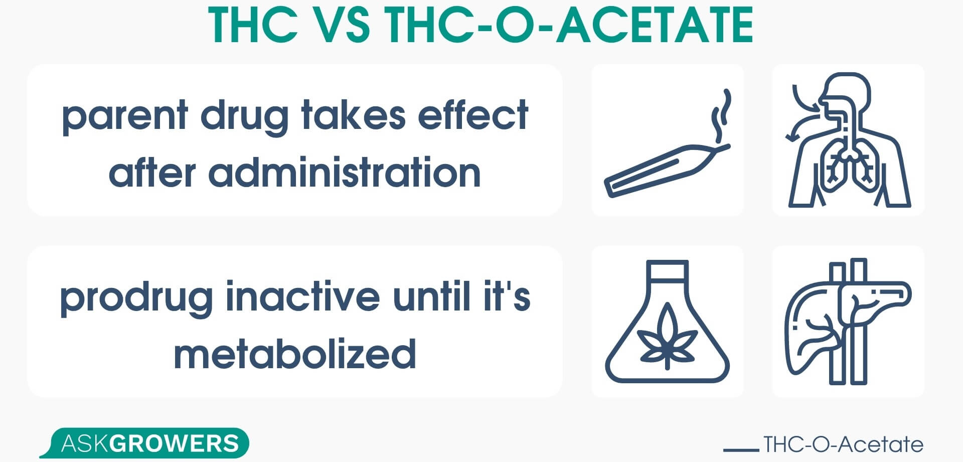 THC vs THC-O-Acetate