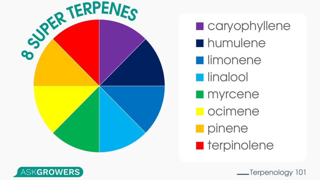 8 Super Terpenes
