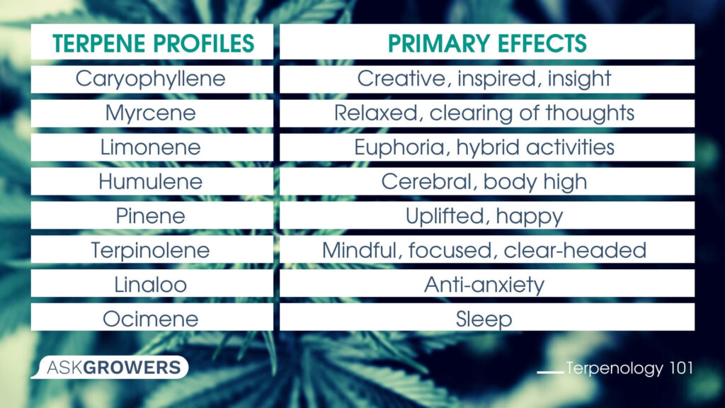 Super Terpenes and Their Effects