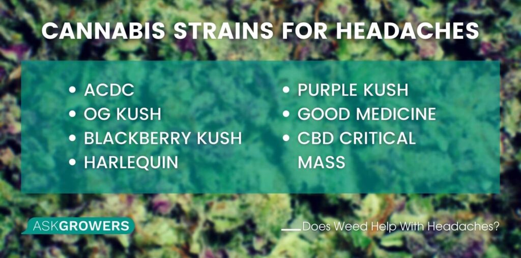 Cannabis Strains for Headaches
